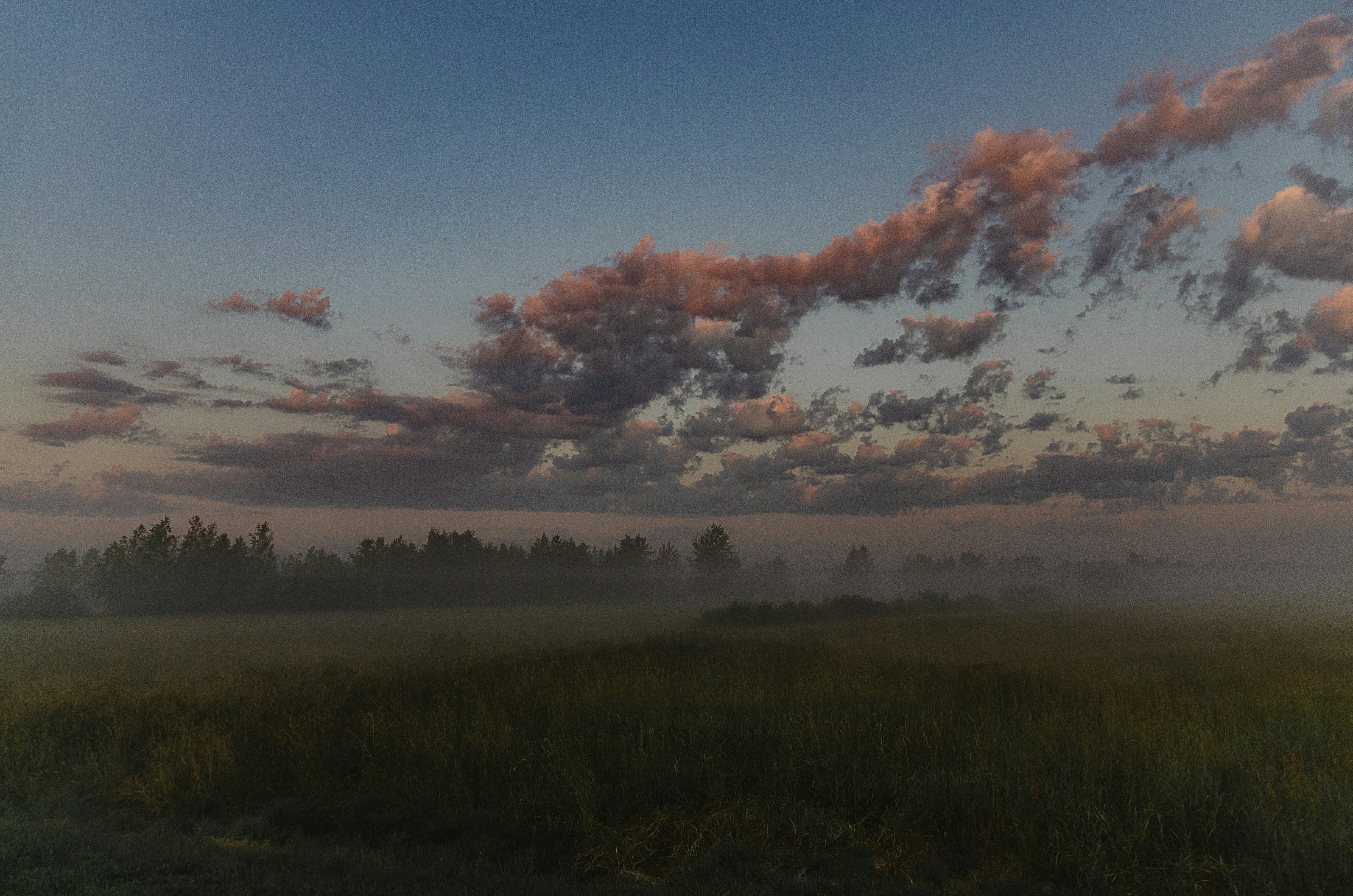 Rendering for Dynamic Environments on Switch 2
