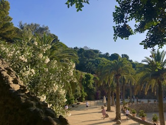 people near trees and hill during daytime