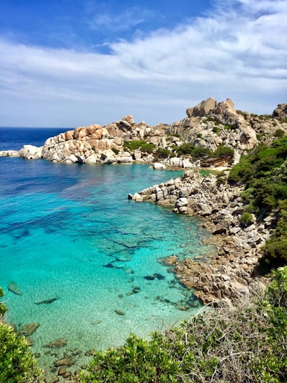 a body of water surrounded by trees and rocks