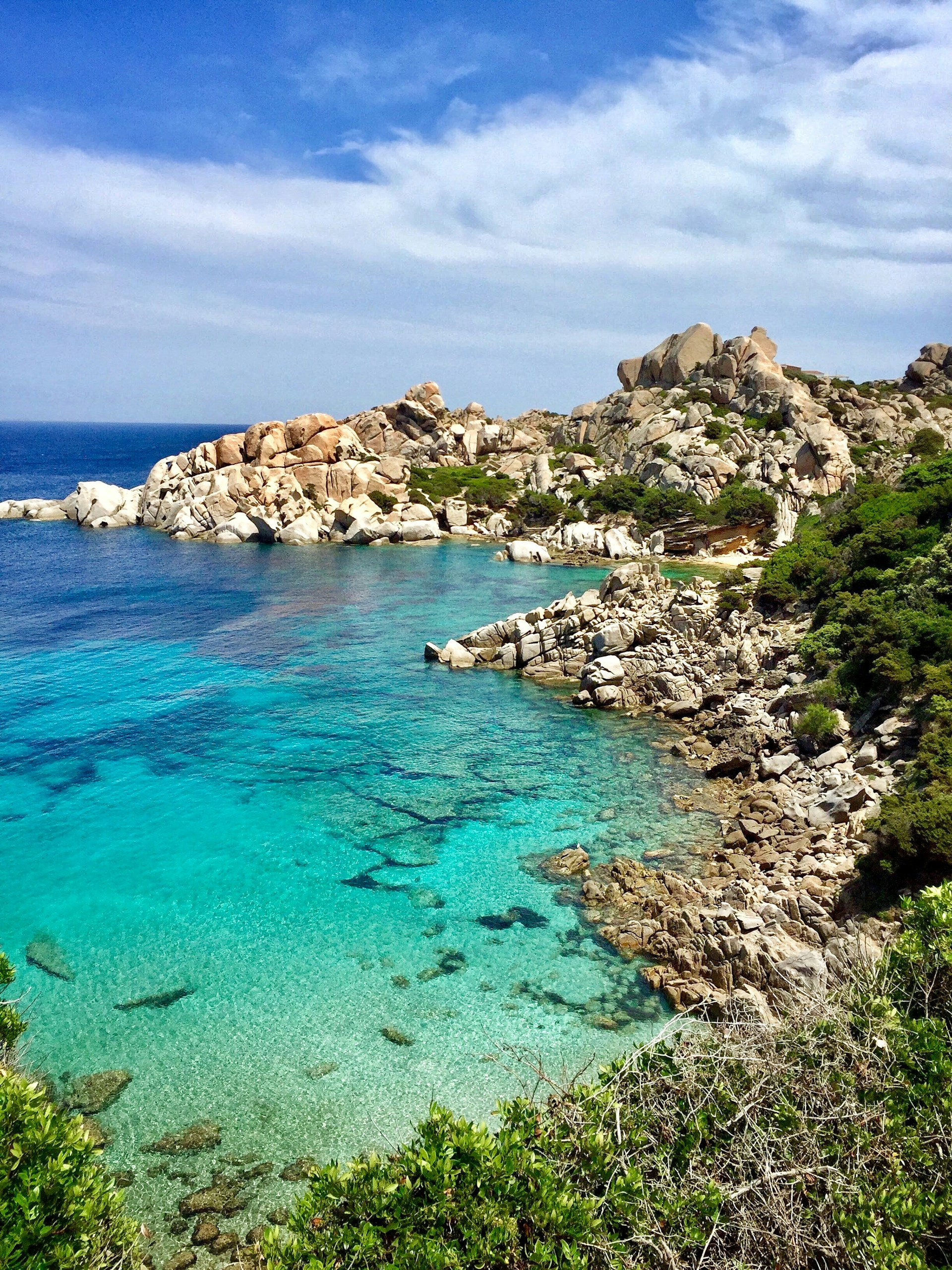 a body of water surrounded by trees and rocks