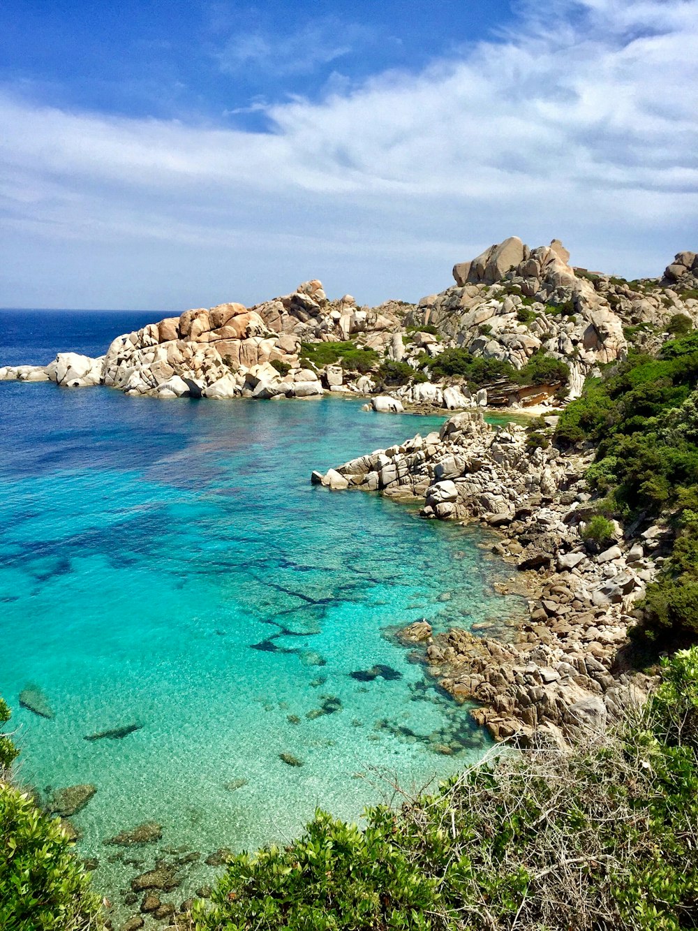 a body of water surrounded by trees and rocks