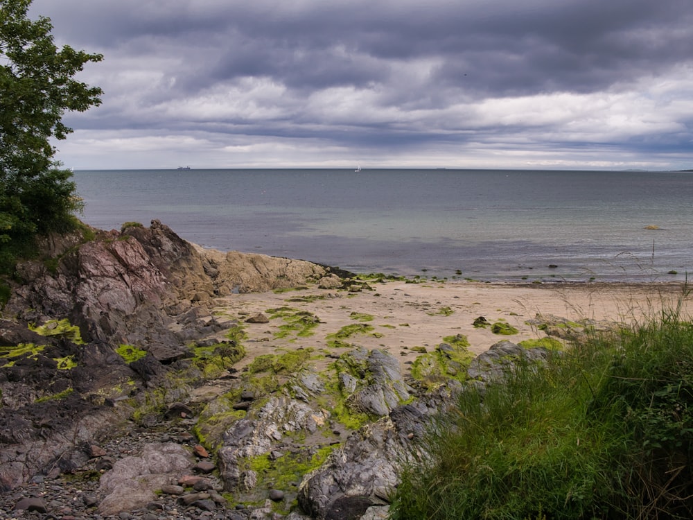 landscape photography of seacoast