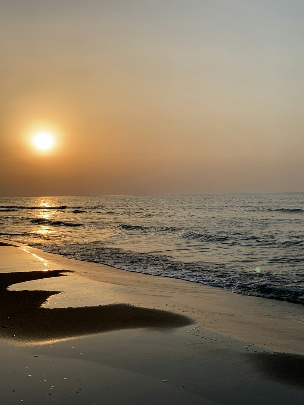 seashore during golden hour