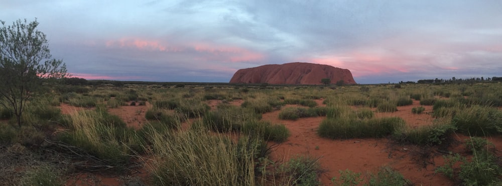 Uluru Mountain during golden hour