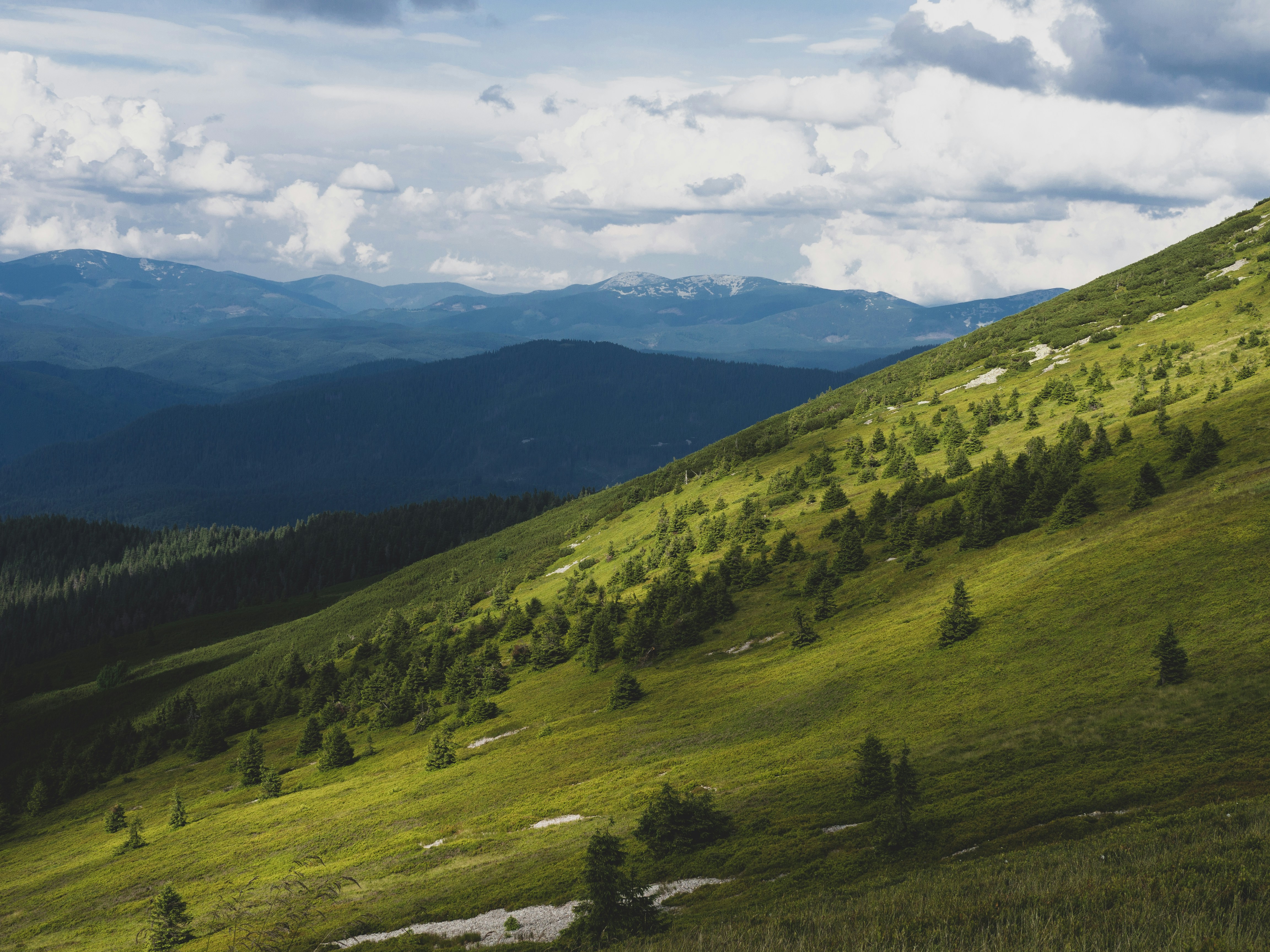 Photo by fedorchenkoalina