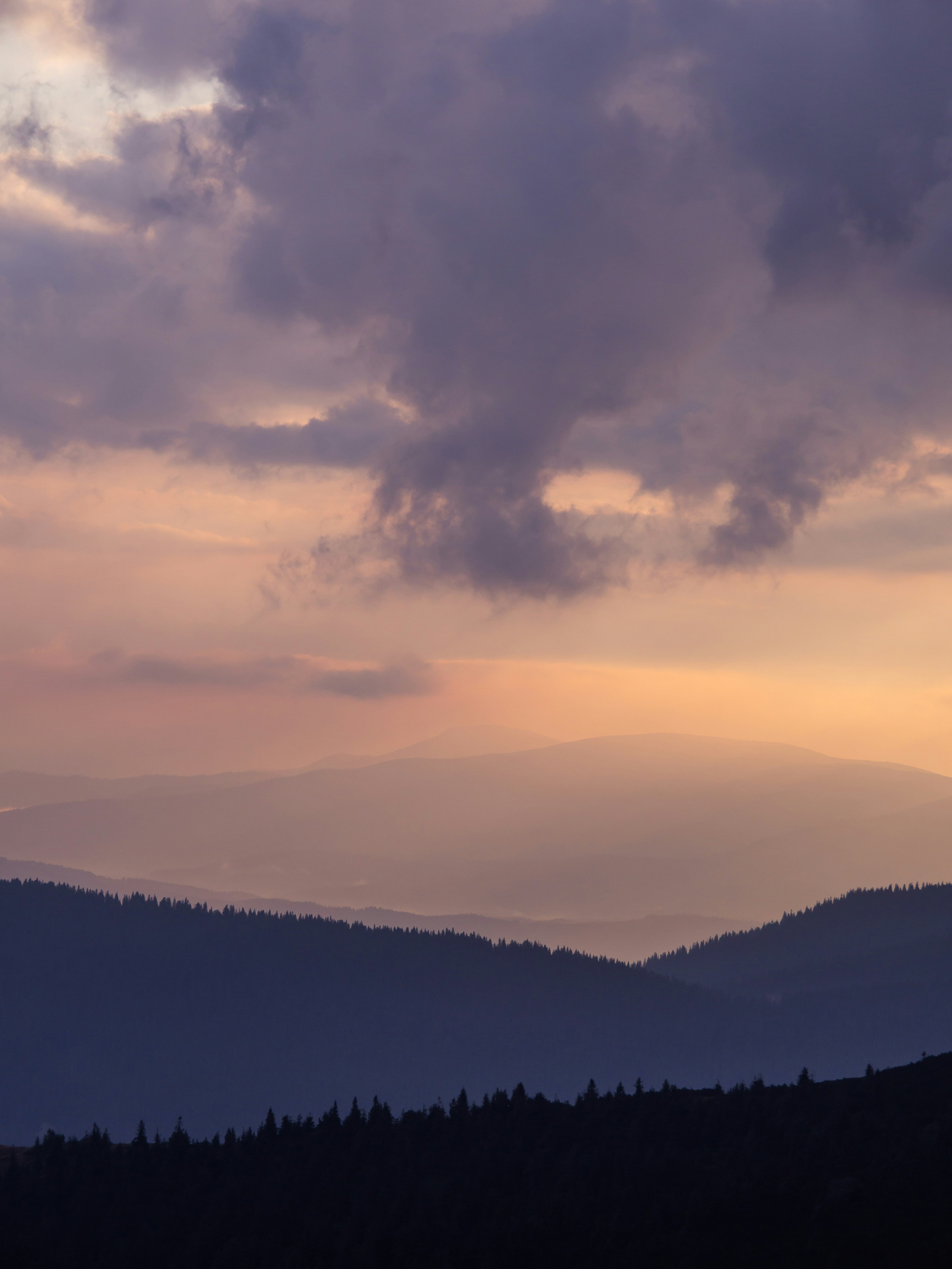 Photo by fedorchenkoalina