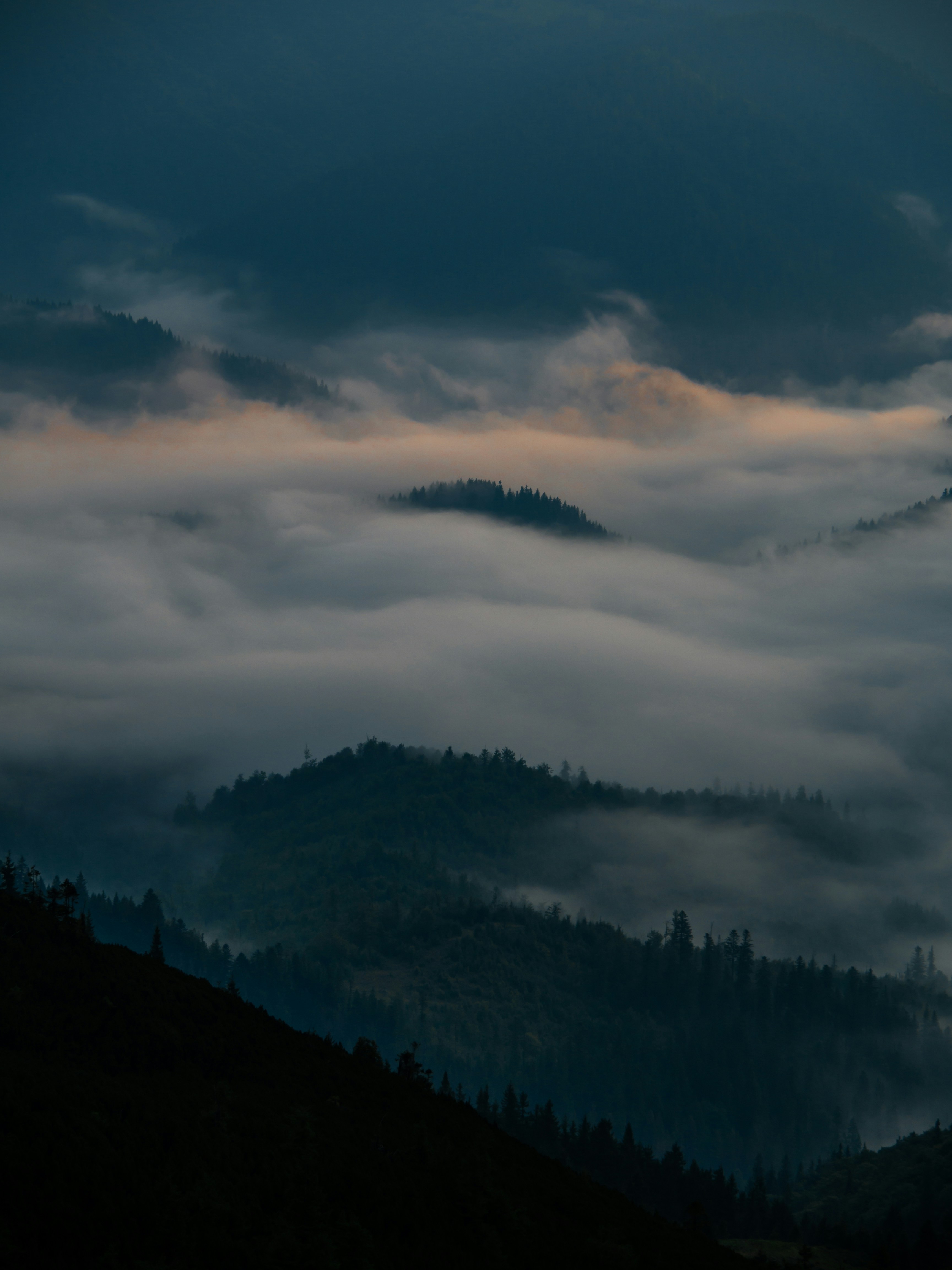 Photo by fedorchenkoalina