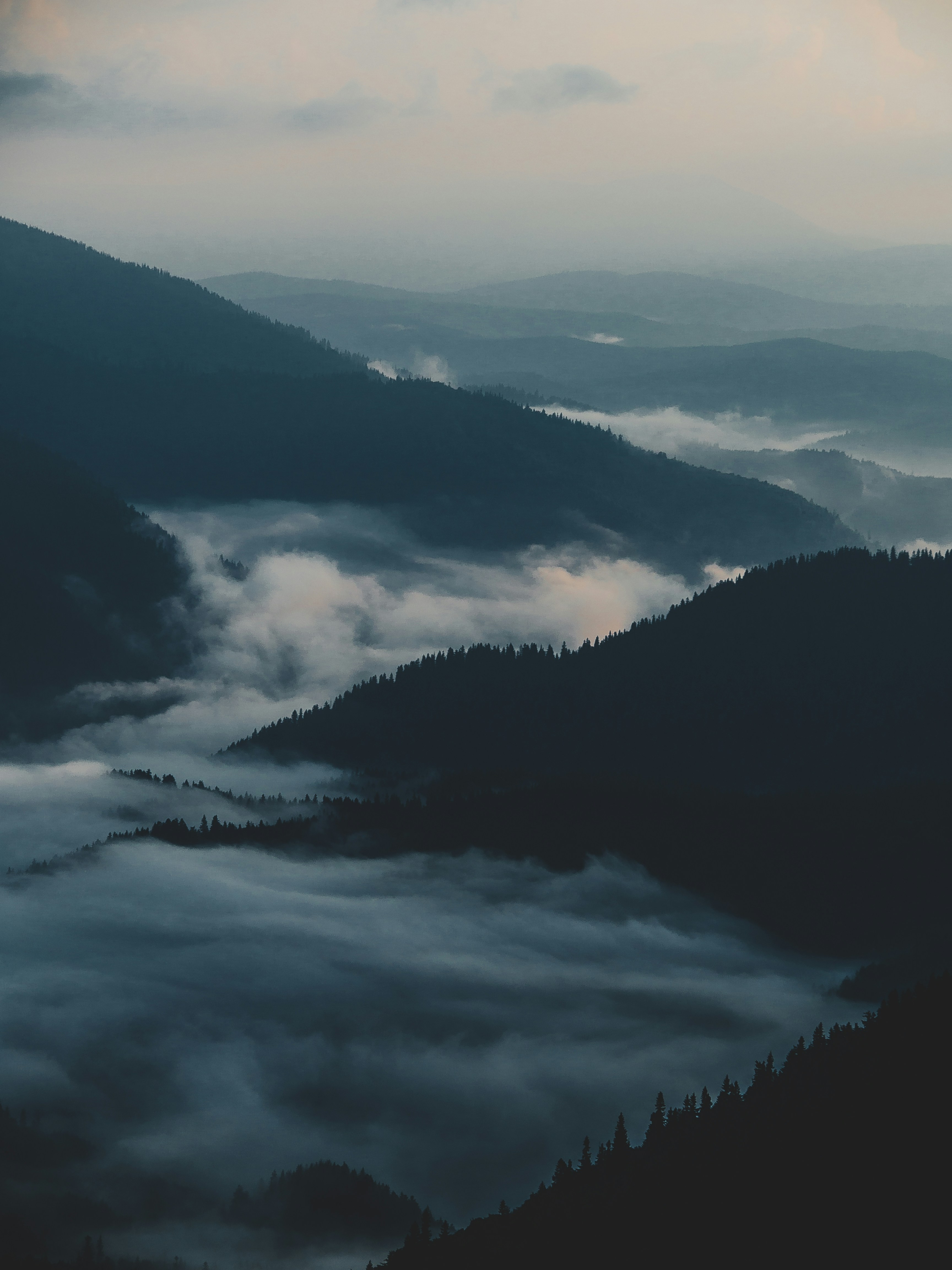 Photo by fedorchenkoalina