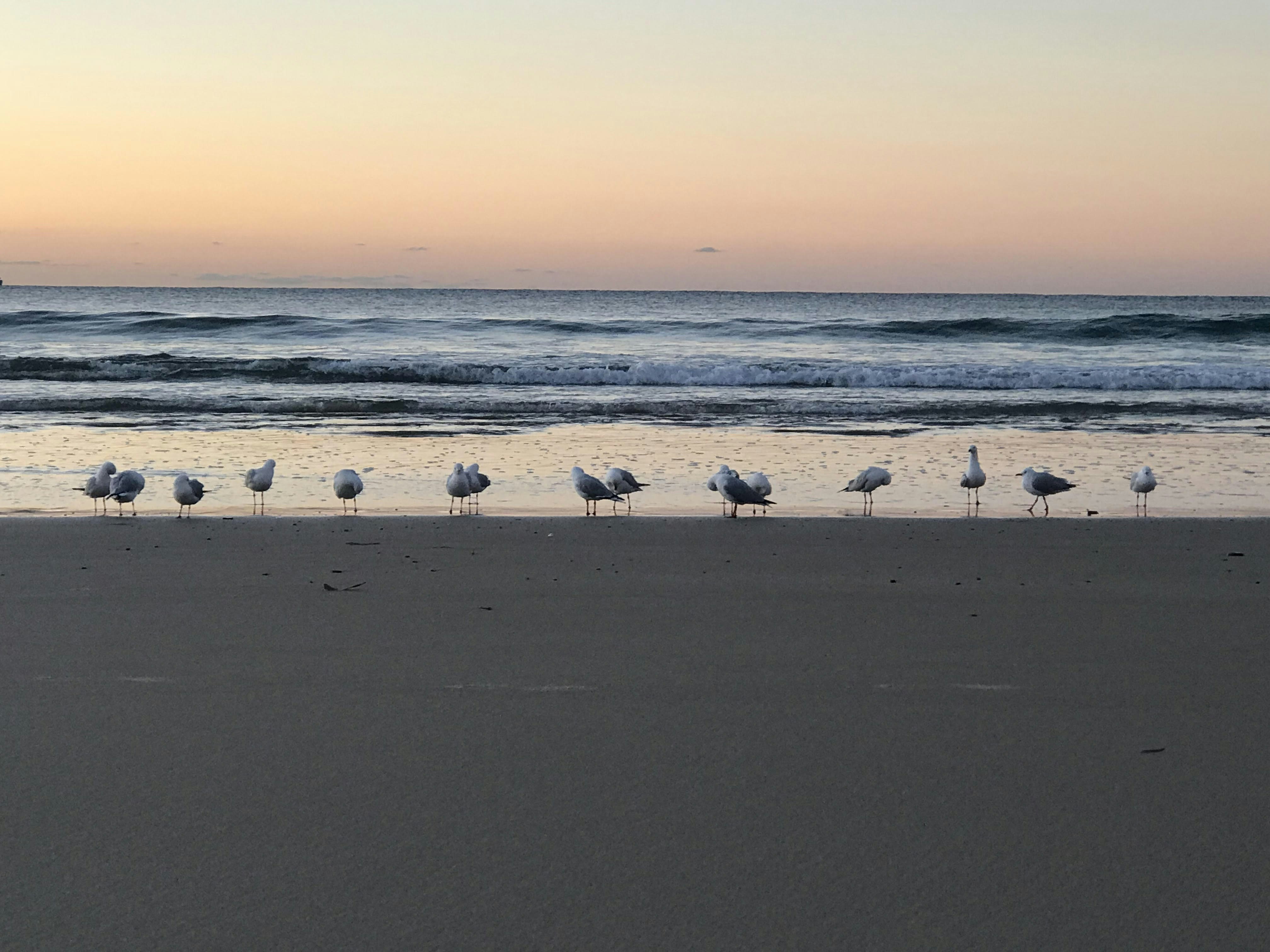 Photo by mandyhenry1