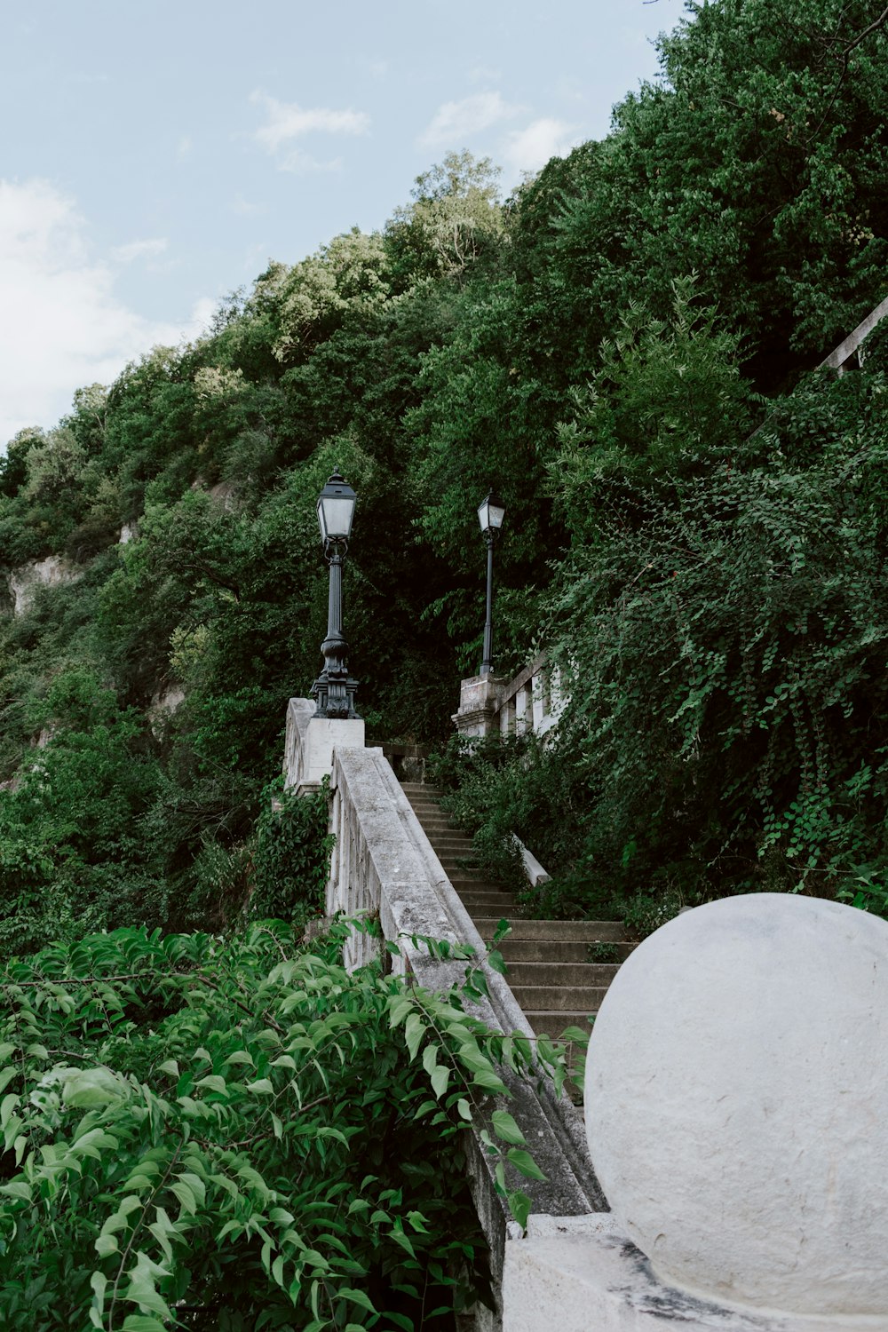 Árboles verdes cerca de las escaleras durante el día