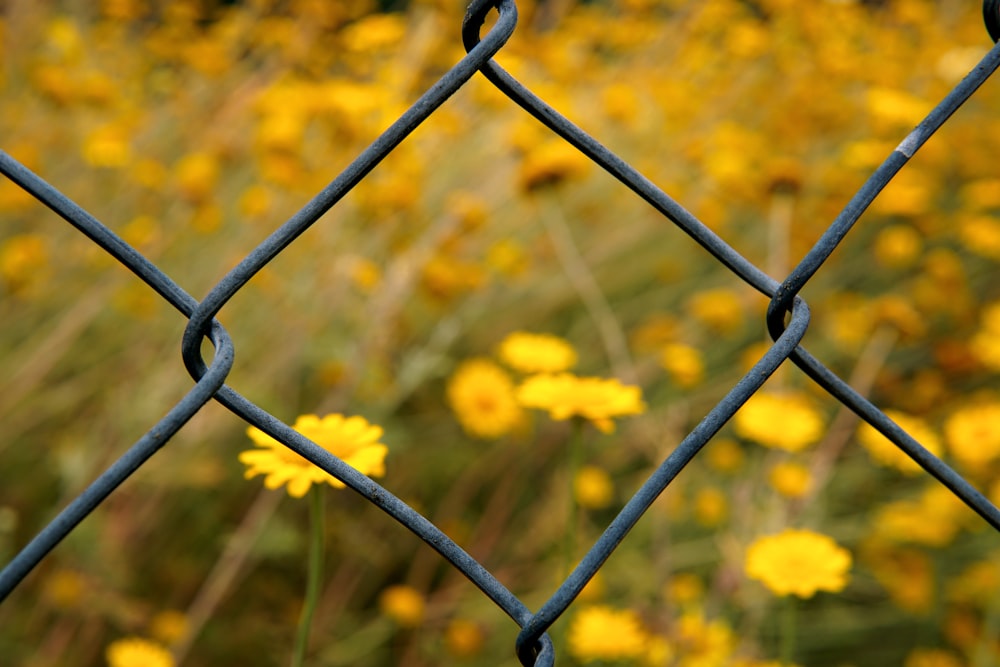 recinzione metallica grigia