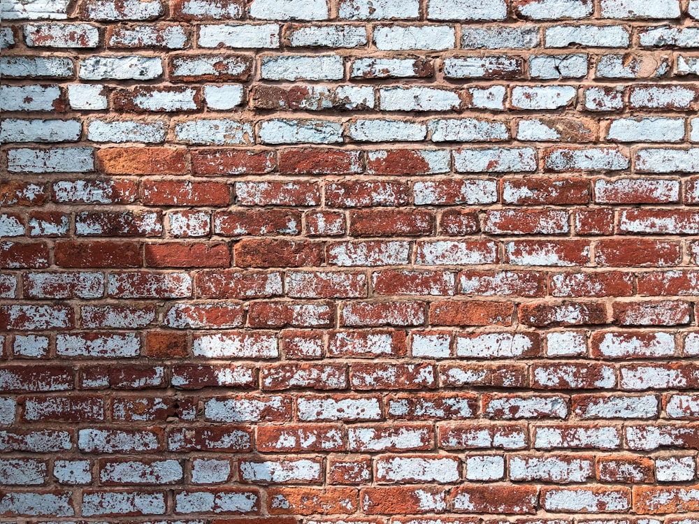maroon wall brick