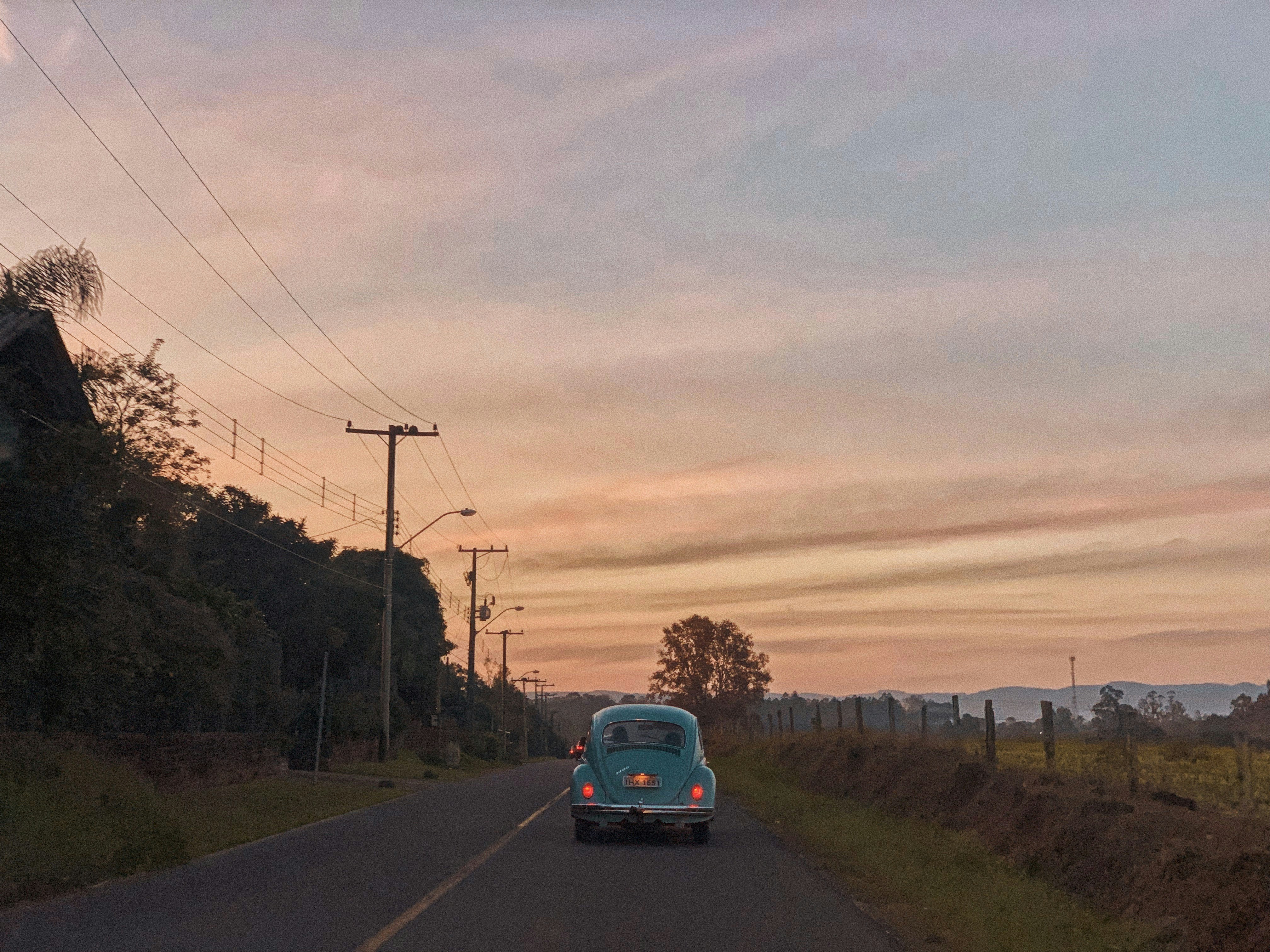 Volkswagen beetle on road
