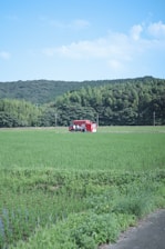 A lush green field stretches out towards a forested area in the distance. In the middle of the field sits a bright red vending machine, contrasting with the natural surroundings. A person is interacting with the machine, adding a touch of human presence to the tranquil rural scene.