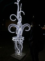 A glowing sculpture made of intertwined light tubes arranged in an ornate pattern, standing on a dark background. A silhouette of a person is visible next to the illuminated structure.