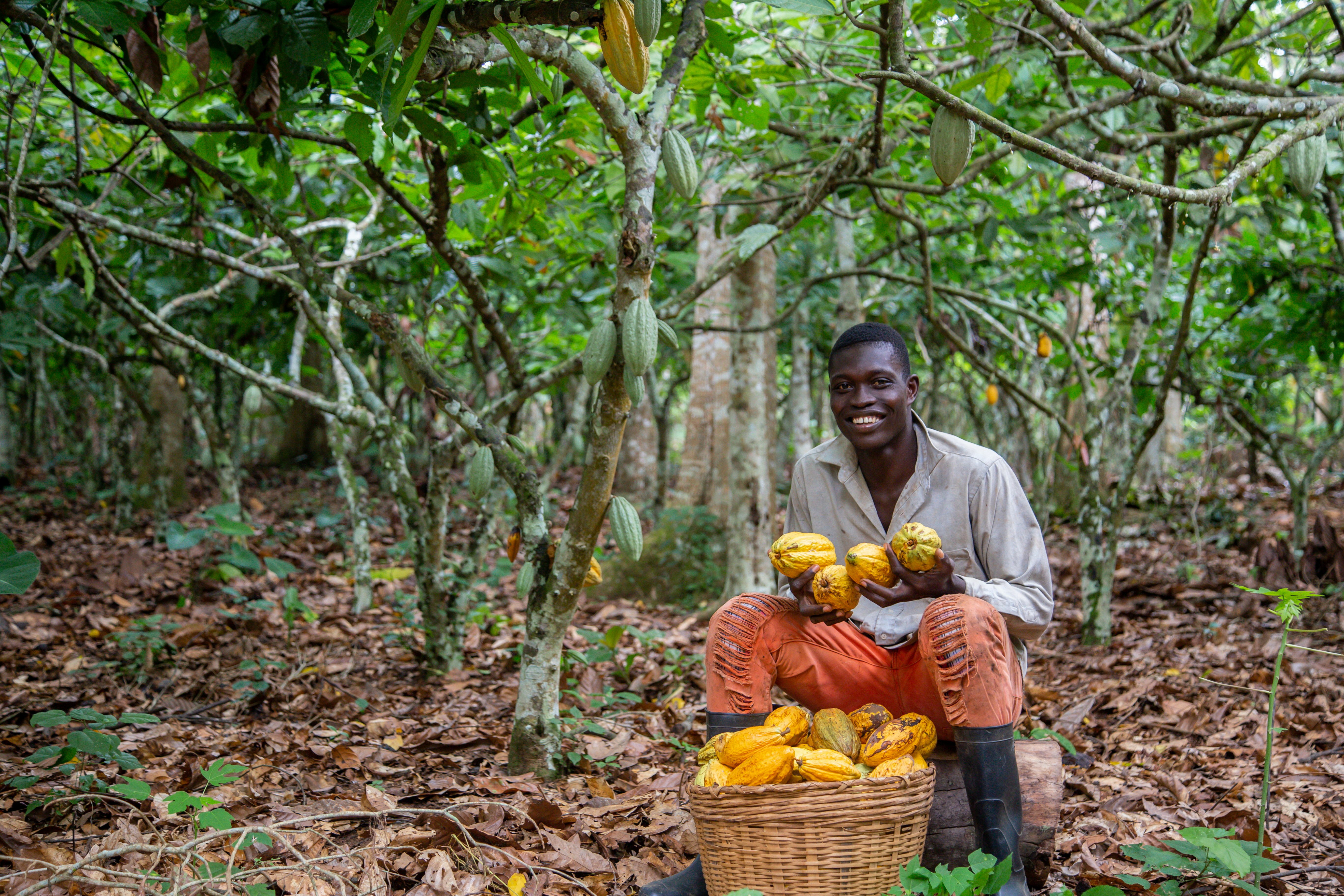 man near basket of fruits