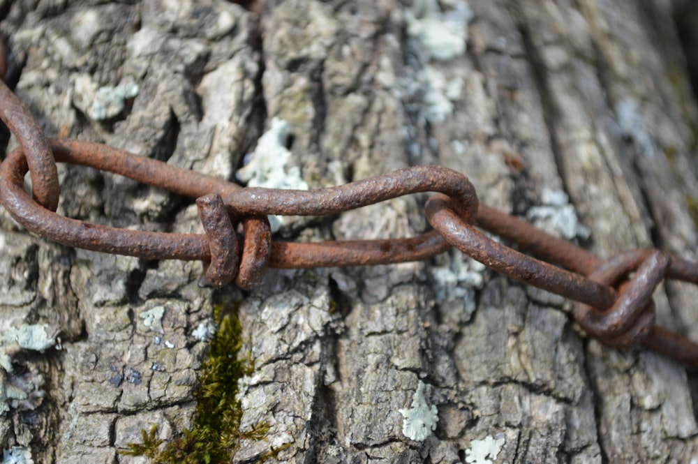 brown chain