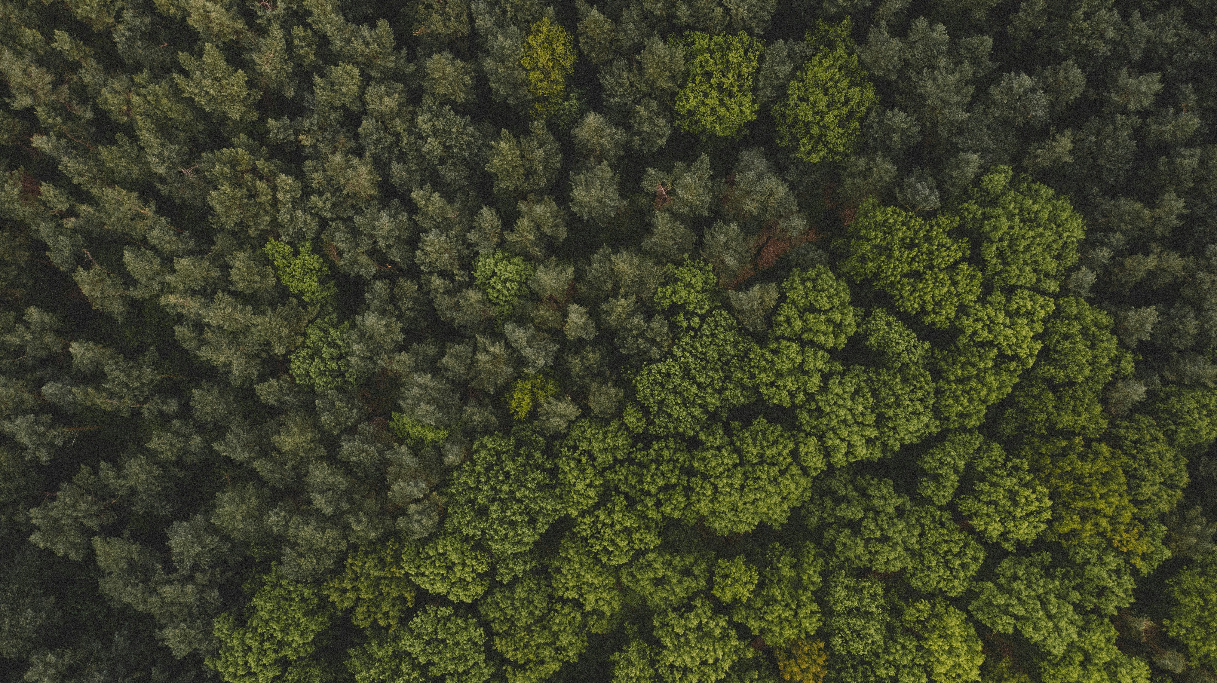 Photo by mertensbjorn