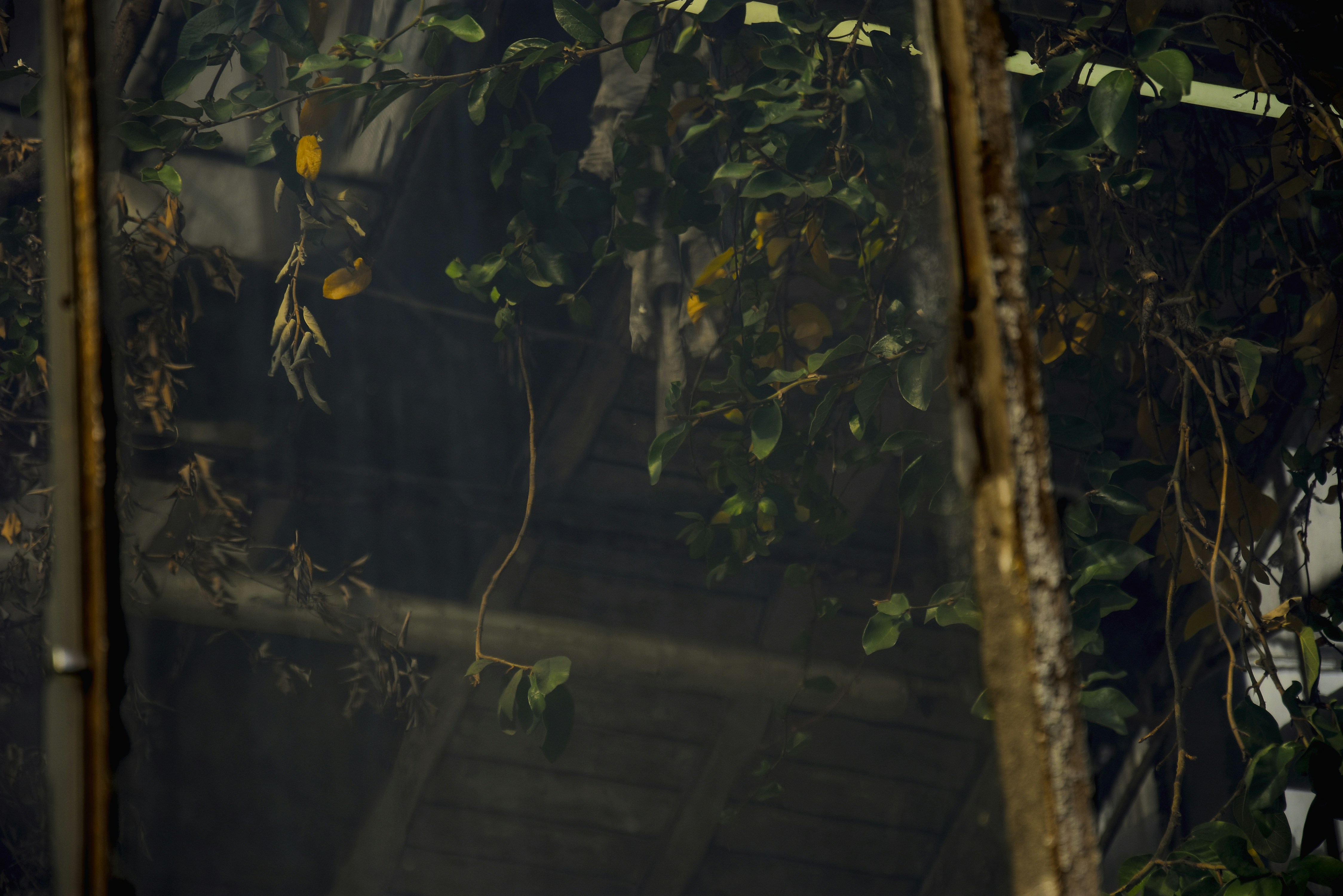 Photo by tetiana_martynenko