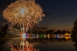 Fireworks reflecting beautifully over a calm lake during a special celebration.