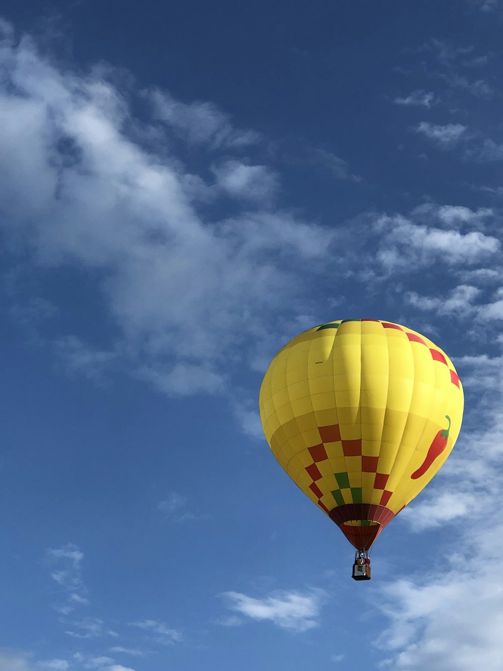 yellow and multicolored hot air balloon