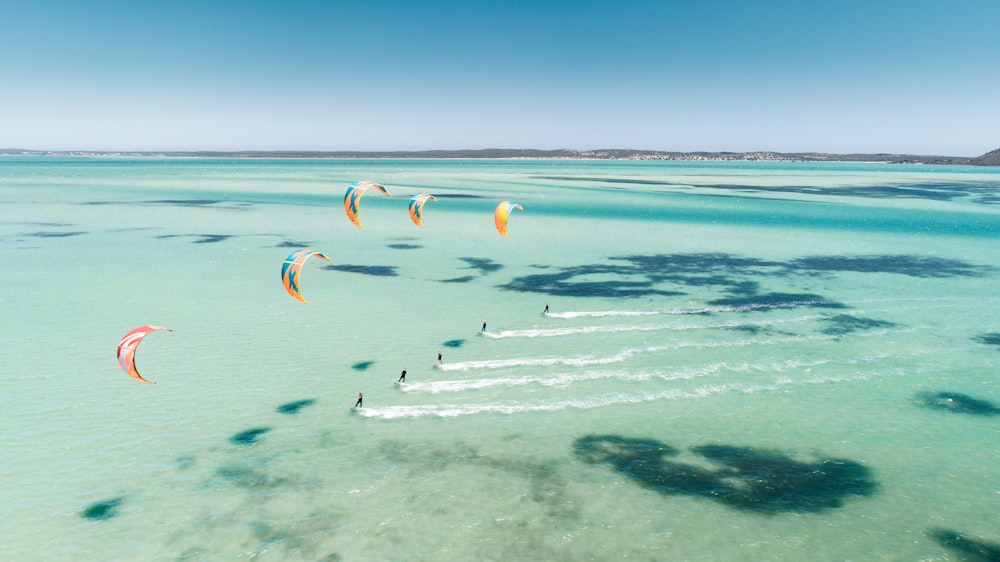 five people paragliding at the sea during daytime