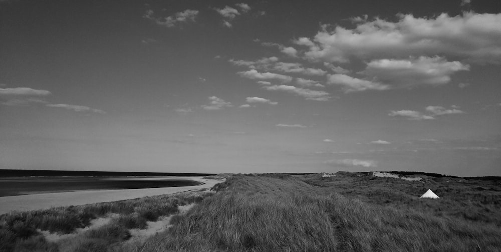 grass field near the shore grayscale photo