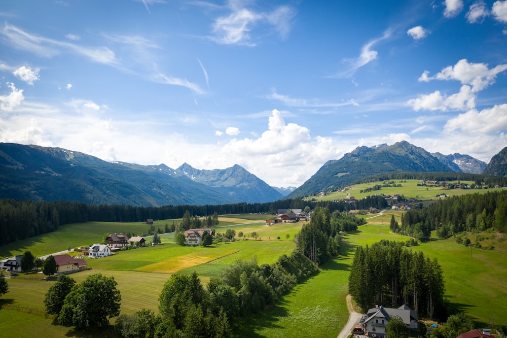 Grüne Wiese mit Bäumen und Haus während der Luftbildfotografie bei Tag