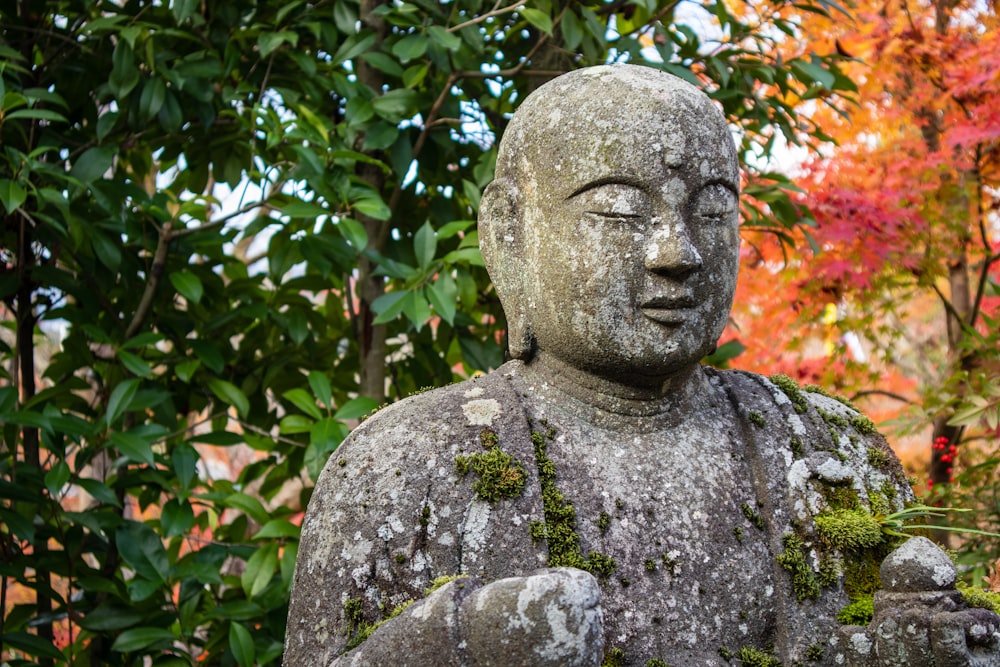 Buddha statue near green-leafed tree