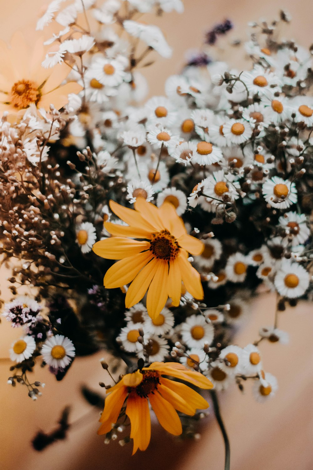 yellow-petaled flower