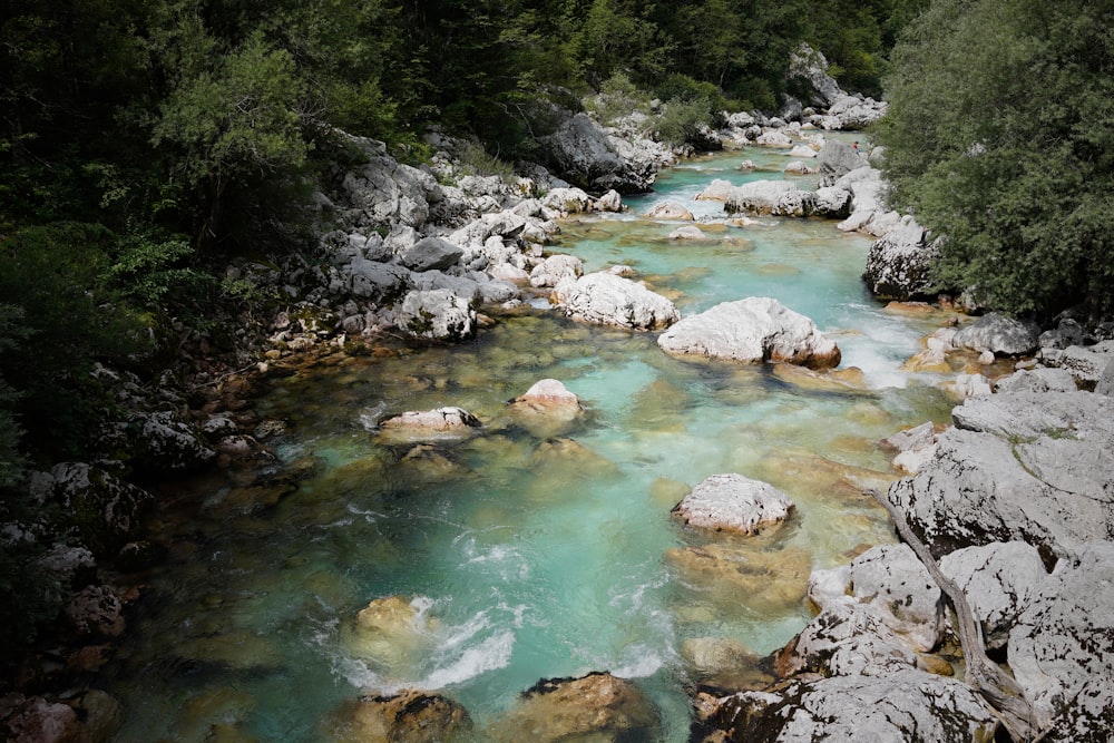 Fotografía de río