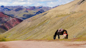 A rider in traditional Andean attire pauses on horseback atop a terraced mountain path at sunrise.