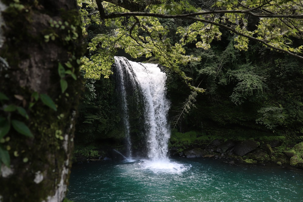 waterfalls at the forest during daytime