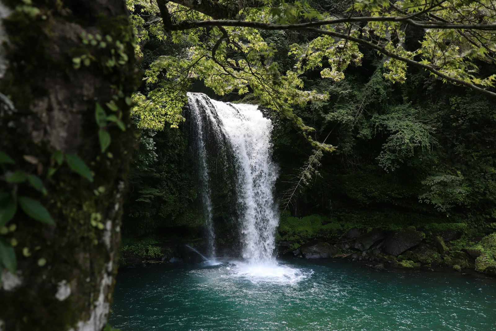 Canon EOS 77D (EOS 9000D / EOS 770D) sample photo. Waterfalls at the forest photography