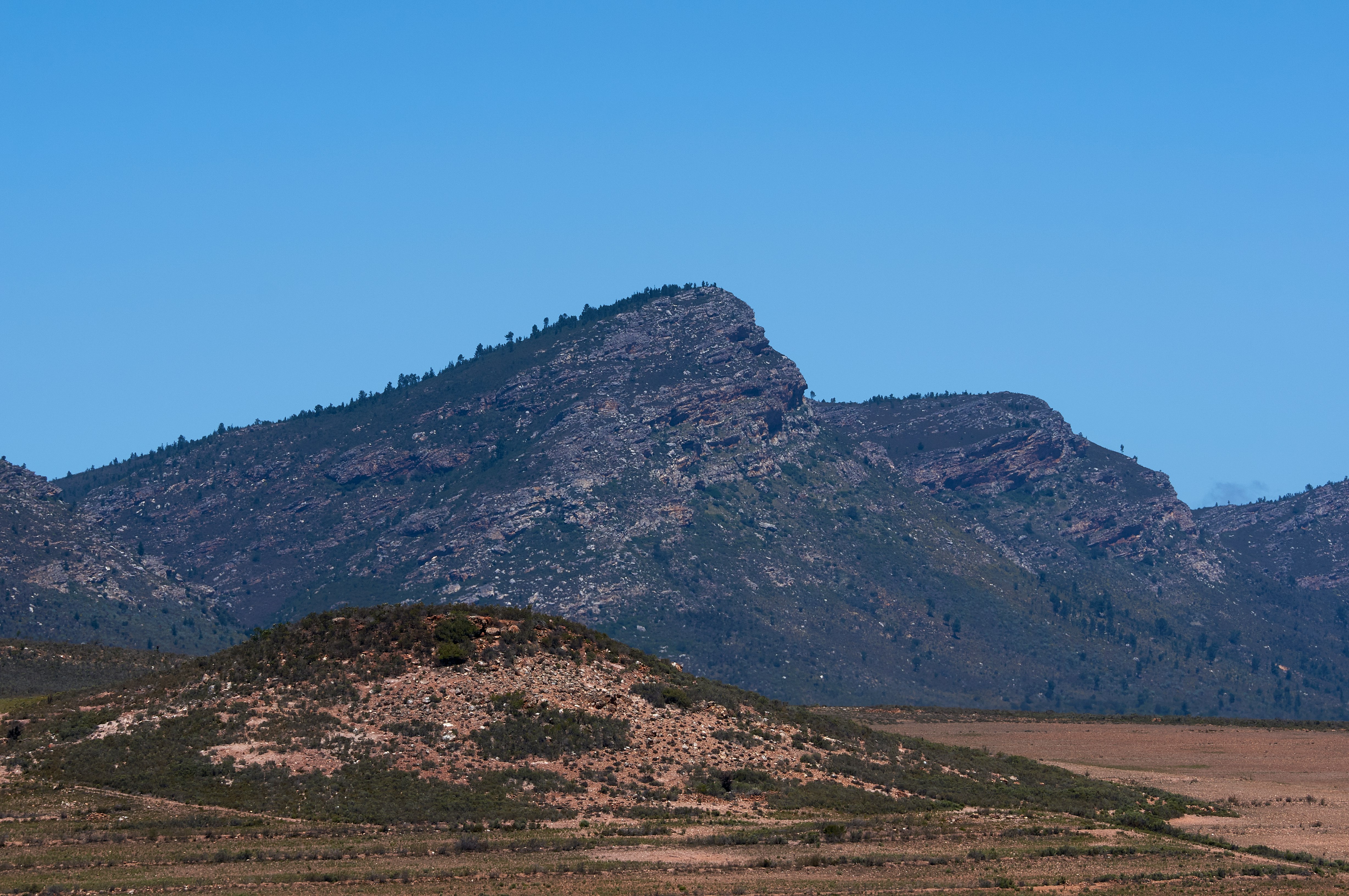 landscape photography of green mountain