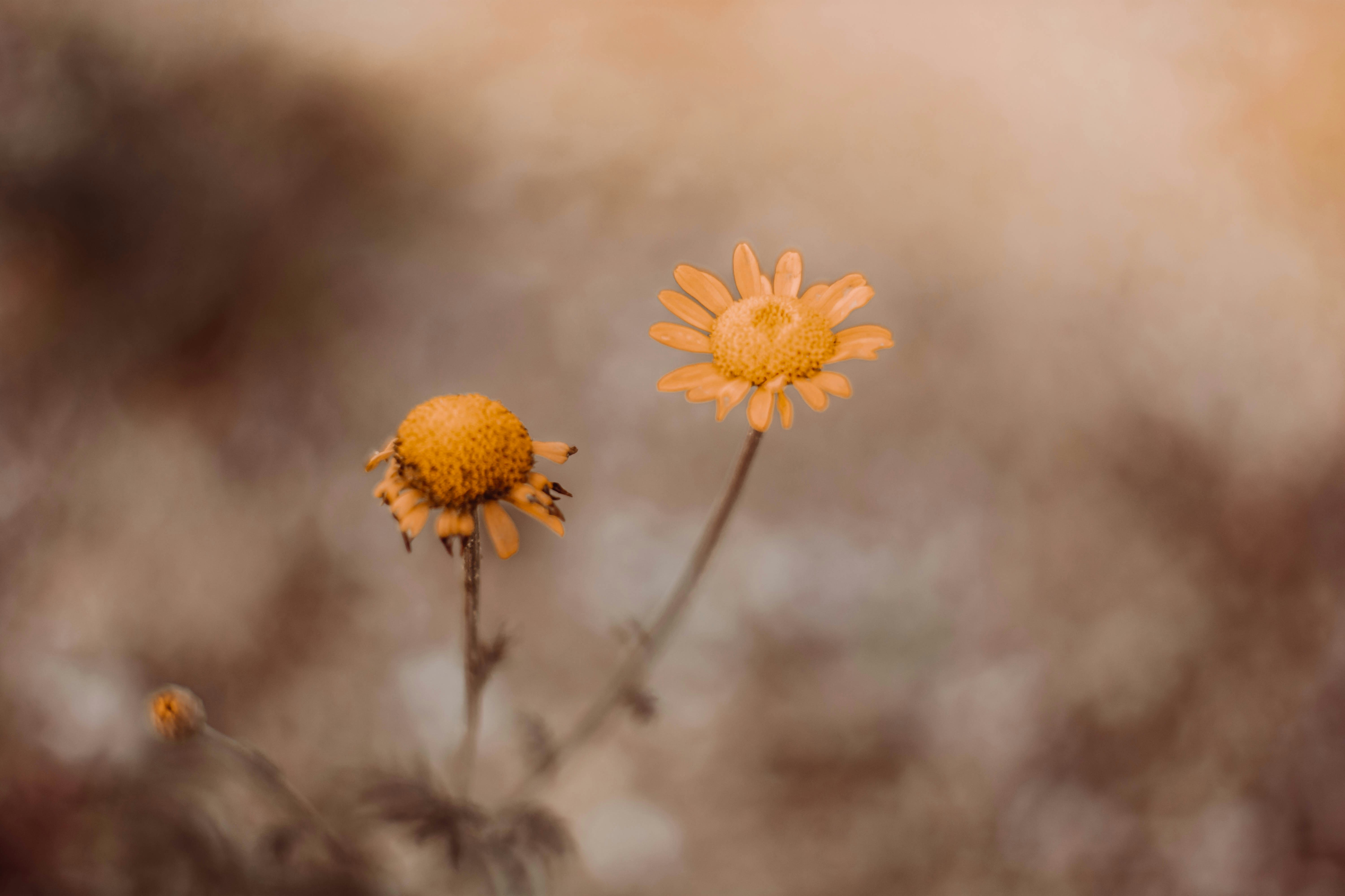 Photo by rani33