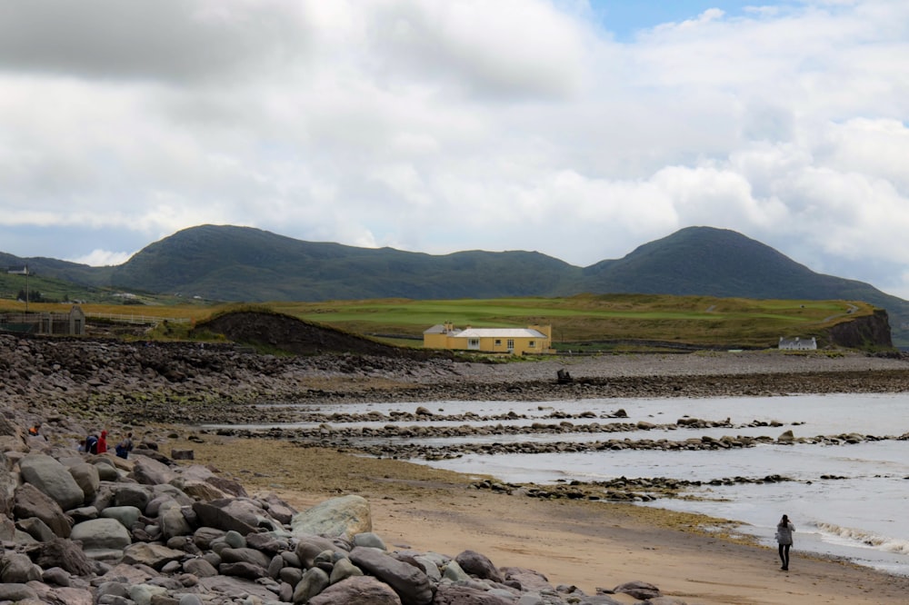 seashore during daytime