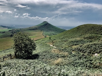green hill during daytime