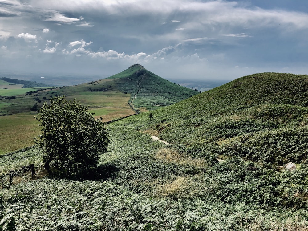 green hill during daytime