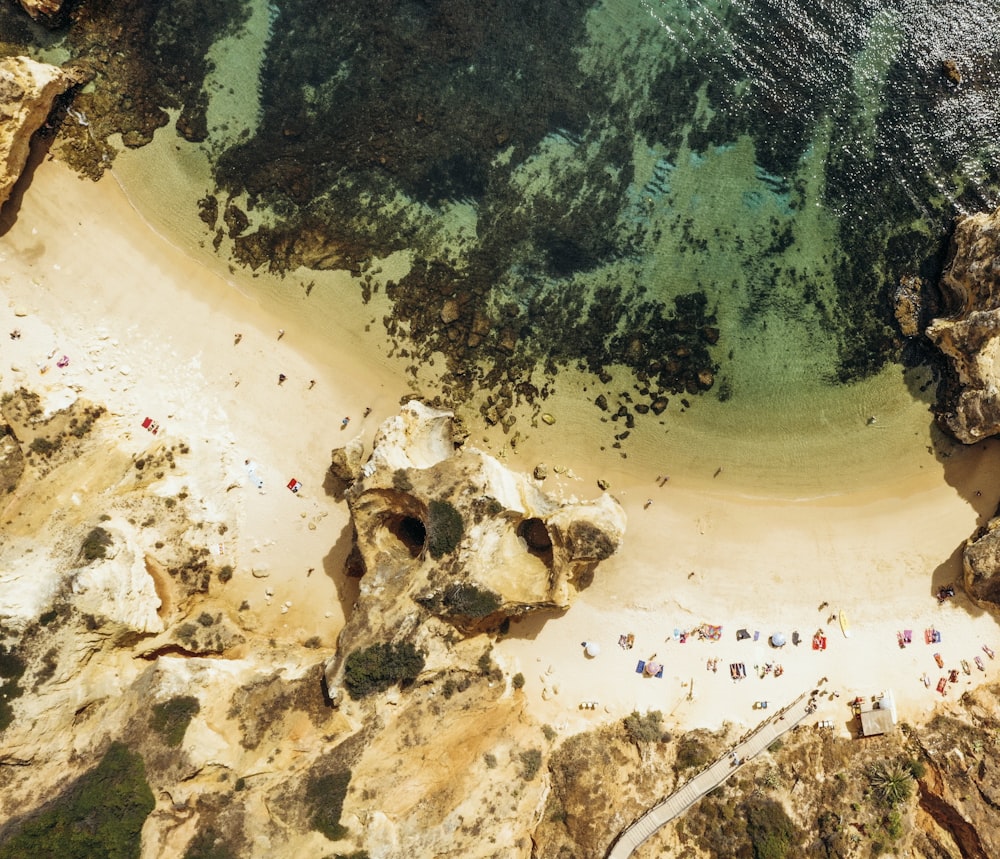 aerial photography of shore during daytime