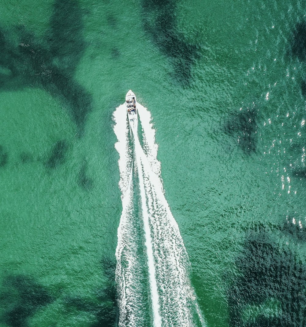 white yacht on green sea during daytime
