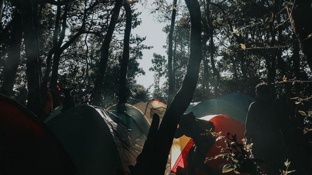 tents under trees