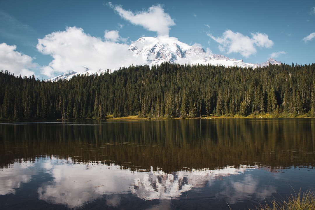 calm water