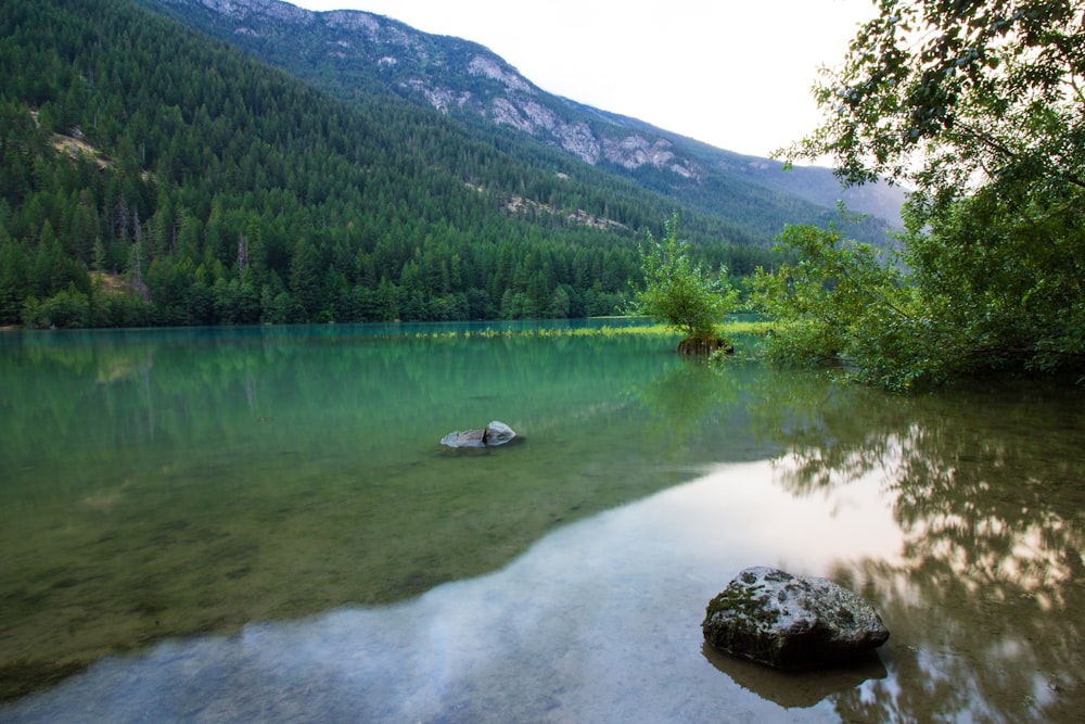 Specchio d'acqua calmo vicino alla montagna durante il giorno