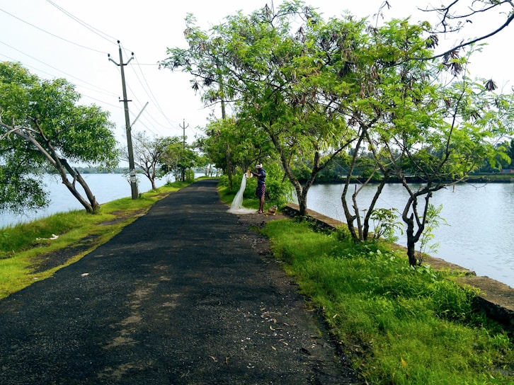 A serene tropical riverbank with lush green vegetation and a fisherman casting a line into calm waters.