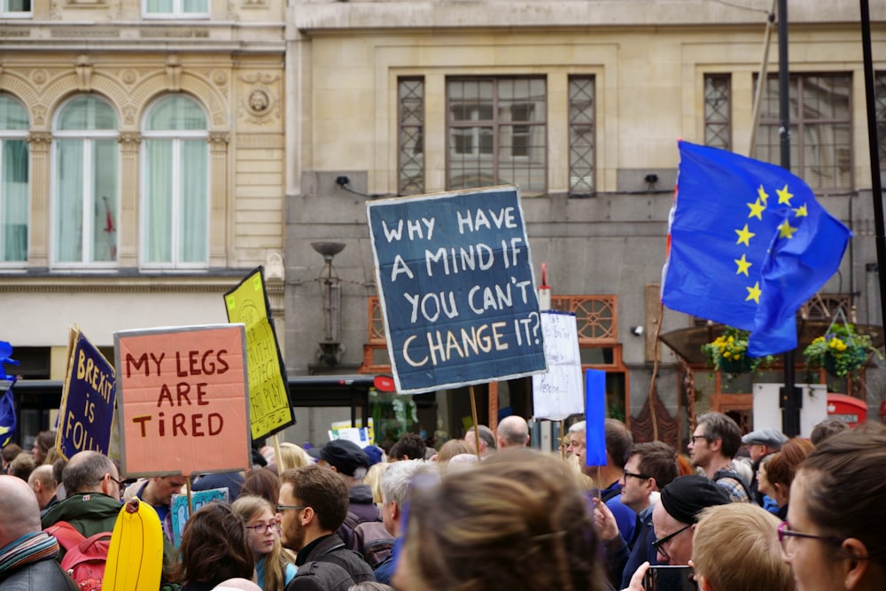 a crowd of people holding signs and flags