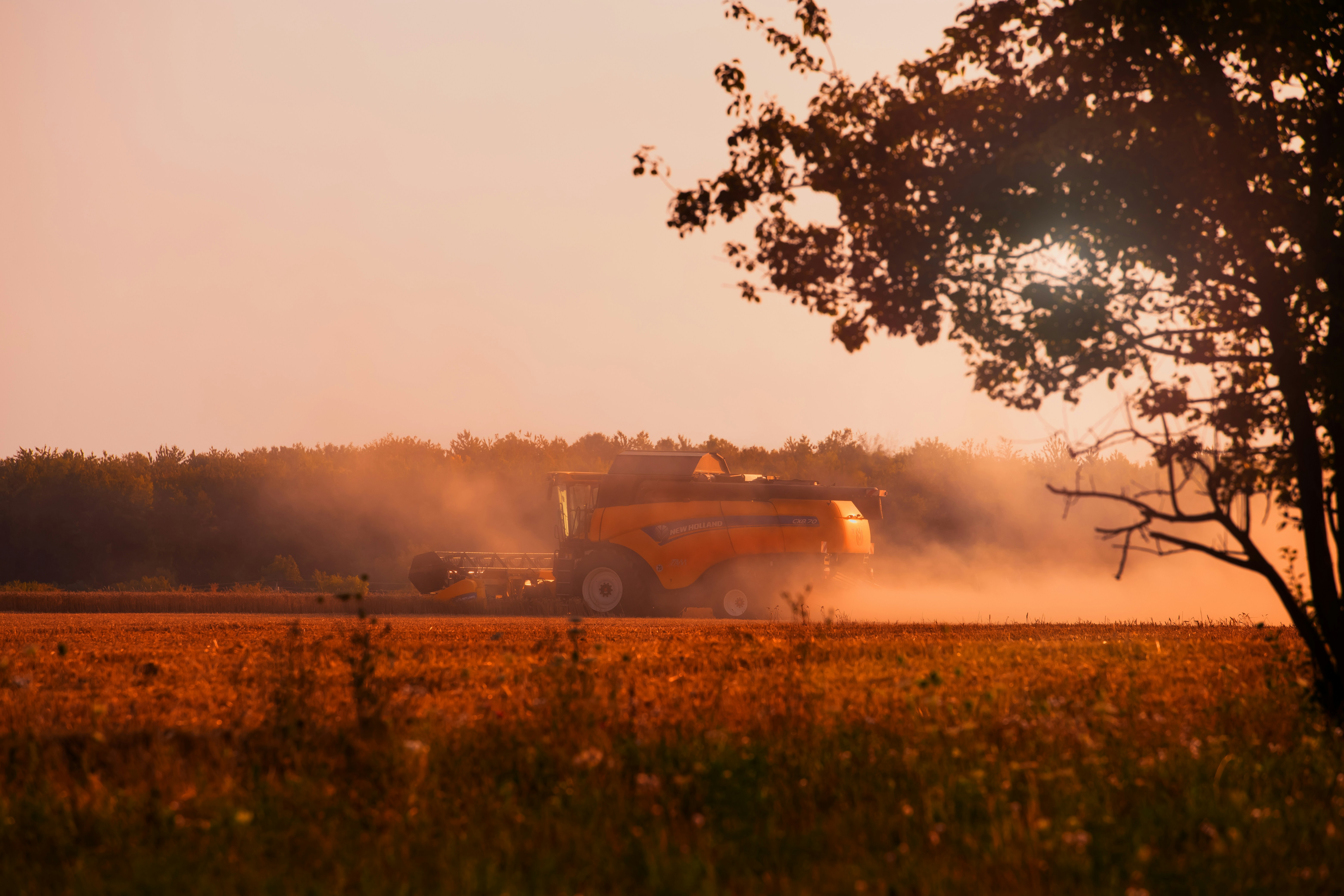 Photo by antilumen