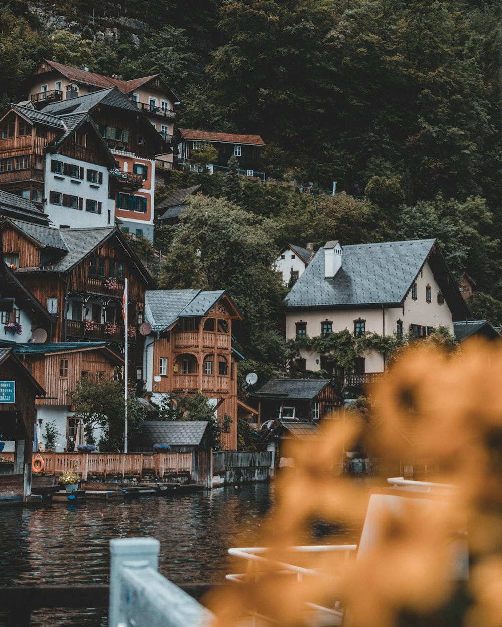 house lot on a hill near body of water during daytime