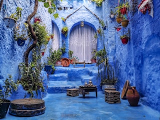 a blue alley with potted plants and a bench