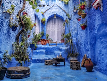 a blue alley with potted plants and a bench